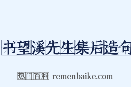 书望溪先生集后造句是什么意思的图片